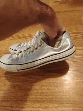 Converse Chuck Taylor All Star Low Top Metallic Silver Metallic Silver Sneakers